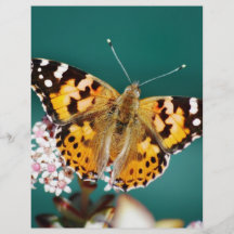 Butterflies are free custom flyer