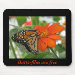 Butterflies are free mouse pads