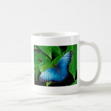 butterflies blue morpho 커피컵