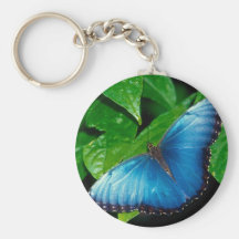 butterflies blue morpho 키체인