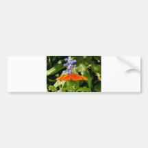 Butterflies bumper sticker