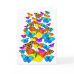 Butterflies! Butterflies! Greeting Card