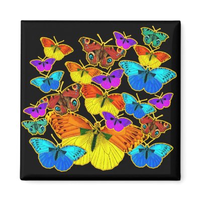 Butterflies! Butterflies!  Magnet by Aquavel