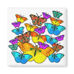 Butterflies! Butterflies!  Magnet