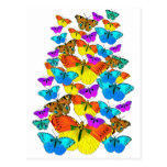 Butterflies! Butterflies!  Postcard