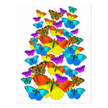 Butterflies! Butterflies!  Postcard