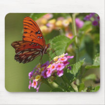 Butterflies, Butterfly Lovers Gifts Mousepad