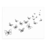 Butterflies Dancing Across the Page Post Cards
