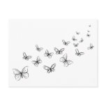 Butterflies Dancing Across the Page Post Cards