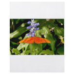 Butterflies flyer