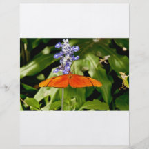Butterflies flyer