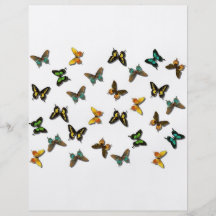 Butterflies Flyer Design