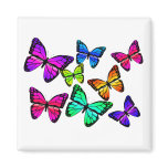 Butterflies Magnet