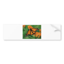 butterflies monarch butterfly bumper stickers