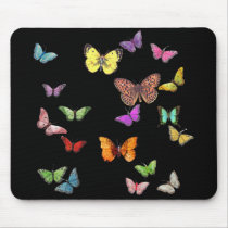 Butterflies