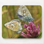 Butterflies Mousepad