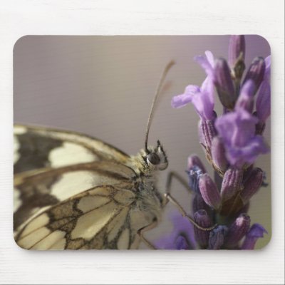 butterflies mouse mats by mag26s