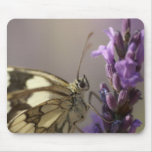 butterflies mousepads