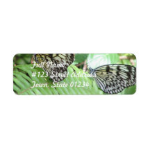 Butterflies on Fern  Mailing Label