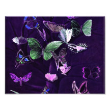 Butterflies On Purple Art Photo