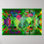 Butterflies on the Wall Print
