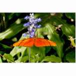 Butterflies photosculpture photo sculpture