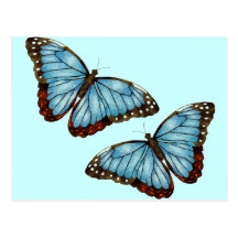 Butterflies Post Cards