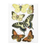 Butterflies Postcards