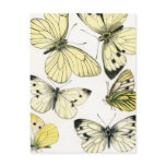 Butterflies Postcard