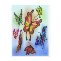 Butterflies