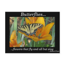 Butterflies... Postcard