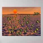 Butterflies Print