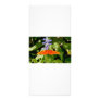 Butterflies rack cards
