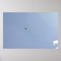 Butterflies Tag Your It Poster