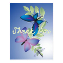 Butterflies Thank You Note Post Cards
