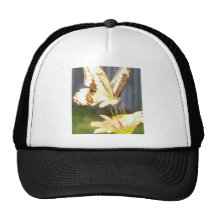 butterfliy love trucker hats