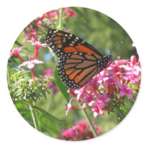 Butterflowers Sticker