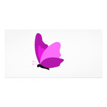 butterfly4