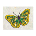 Butterfly - 09 post card