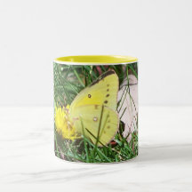Butterfly 1 coffee mug