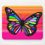 Butterfly 1