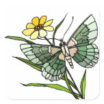 Butterfly 4 square sticker