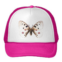 Butterfly 9 hats