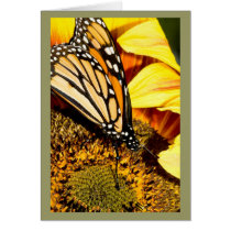 butterfly abstract cards