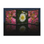 Butterfly and Dahlia Postcard