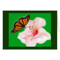 butterfly and flower cards