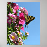 Butterfly and Flowers II Print