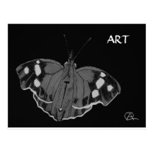 Butterfly Art Postcards