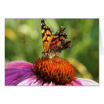 Butterfly at Rest Card