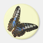 Butterfly Beauty Insect-lovers Gift Series Refrigerator Magnets